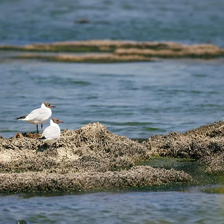 Le Marais Bleu Apartment *