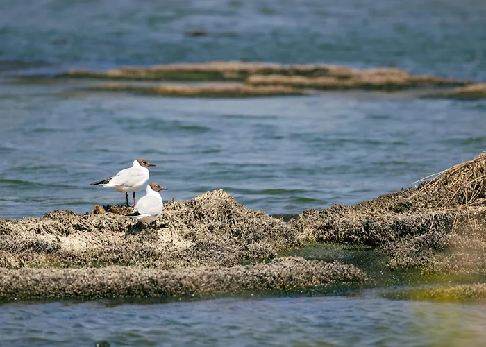 Le Marais Bleu Apartment *